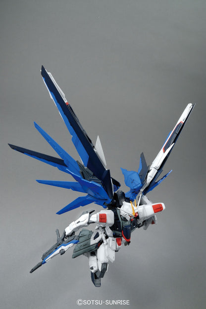 MG 1/100 Freedom Gundam Ver.2.0