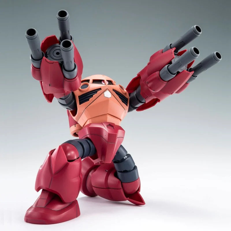 P-Bandai HG 1/144 Amazing Z'Gok